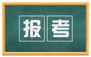 报考
