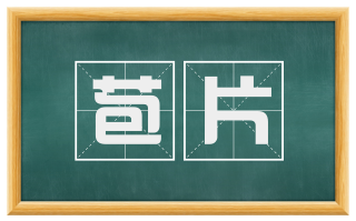 苞片