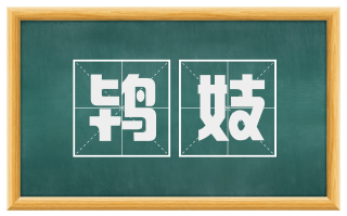 鸨妓