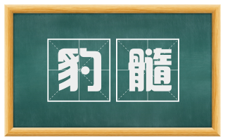 豹髓