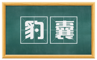 豹囊