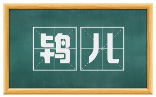 鸨儿