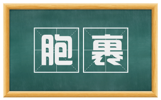胞裹