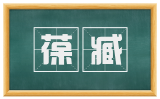 葆臧