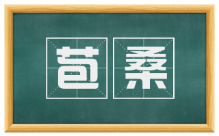 苞桑