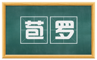 苞罗