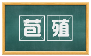 苞殖