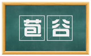 苞谷