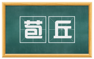 苞丘