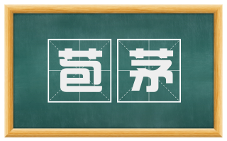 苞茅