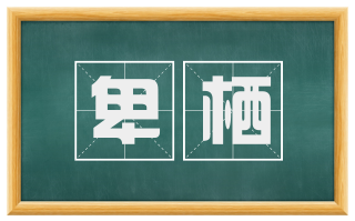 卑栖