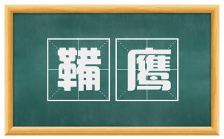 鞴鹰