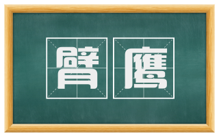 臂鹰