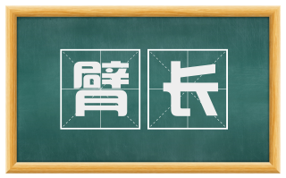 臂长
