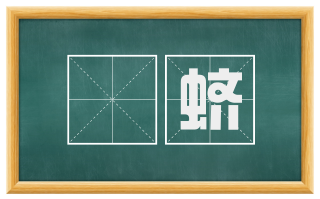 蟦蛴