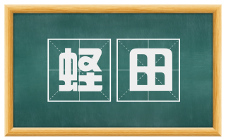 蛏田