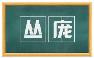 丛庞