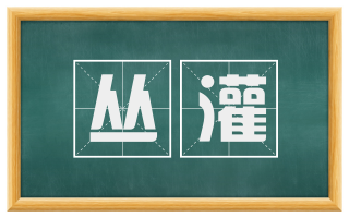丛灌