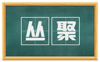 丛聚