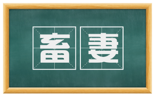 畜妻
