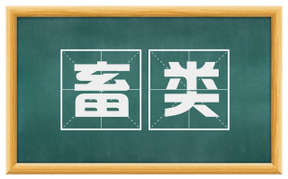 畜类