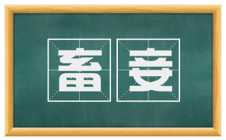 畜妾