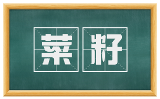 菜籽