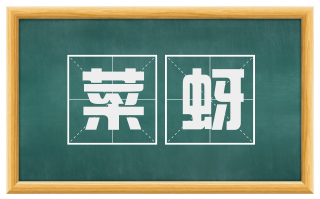 菜蚜