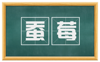 蚕莓
