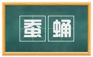 蚕蛹