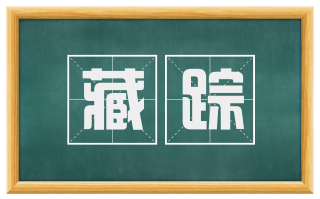 藏踪