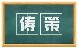俦策