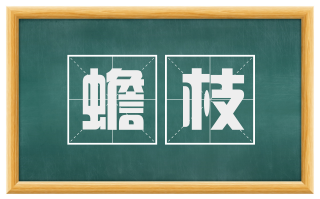 蟾枝