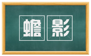 蟾影