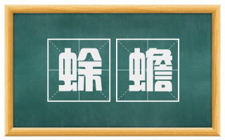 蜍蟾