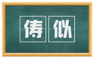 俦似
