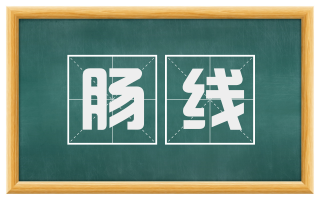 肠线