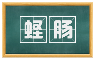 蛏肠