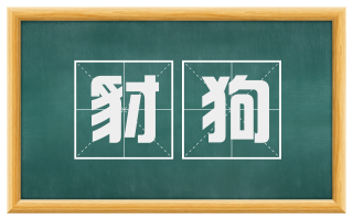 豺狗