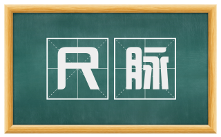 尺脉