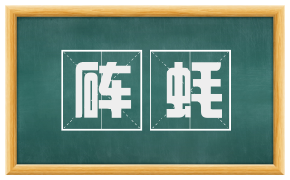 砗蚝