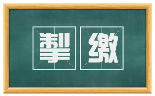 掣缴