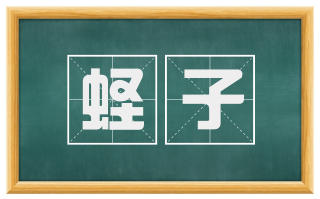 蛏子
