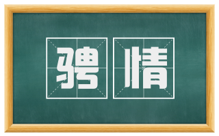 骋情