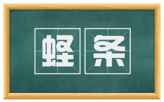 蛏条