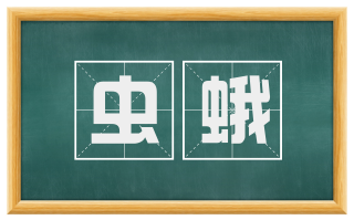 虫蛾