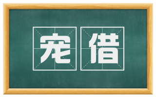 宠借