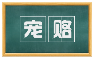宠赂