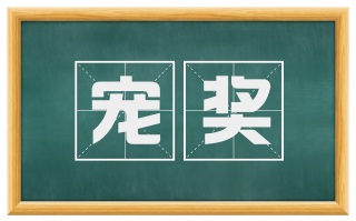 宠奖
