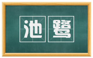 池鹭